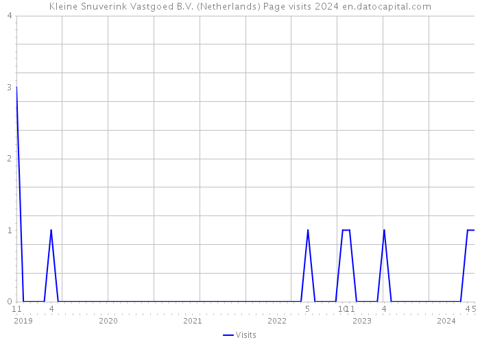 Kleine Snuverink Vastgoed B.V. (Netherlands) Page visits 2024 