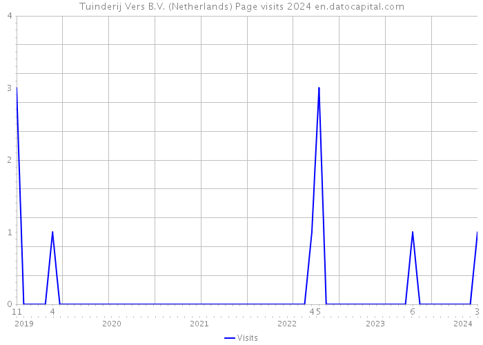 Tuinderij Vers B.V. (Netherlands) Page visits 2024 