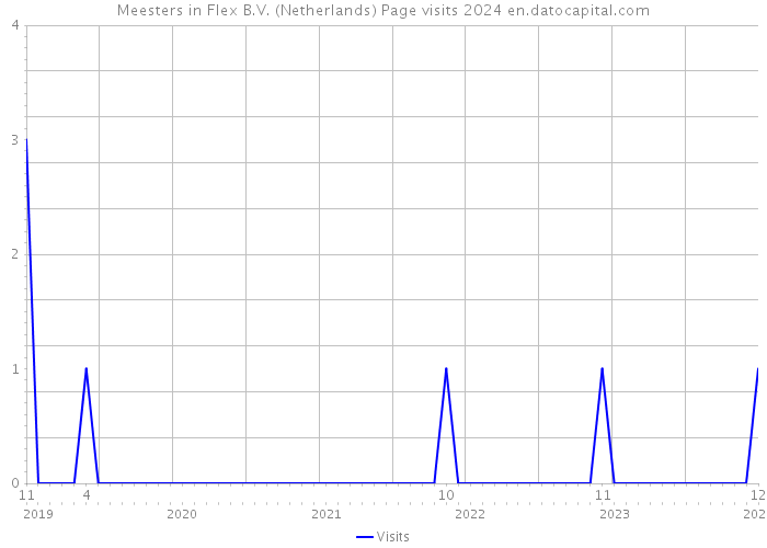 Meesters in Flex B.V. (Netherlands) Page visits 2024 
