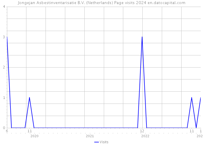 Jongejan Asbestinventarisatie B.V. (Netherlands) Page visits 2024 