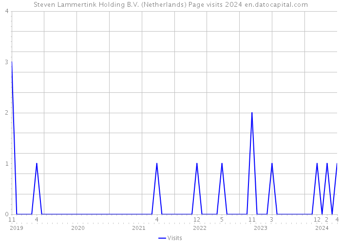 Steven Lammertink Holding B.V. (Netherlands) Page visits 2024 