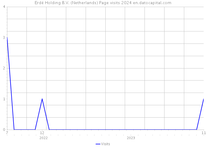 Erdé Holding B.V. (Netherlands) Page visits 2024 
