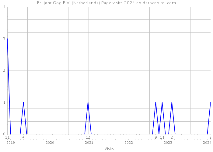 Briljant Oog B.V. (Netherlands) Page visits 2024 