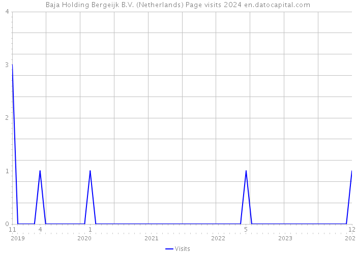 Baja Holding Bergeijk B.V. (Netherlands) Page visits 2024 