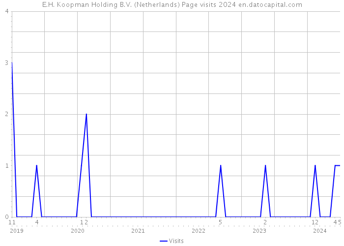 E.H. Koopman Holding B.V. (Netherlands) Page visits 2024 