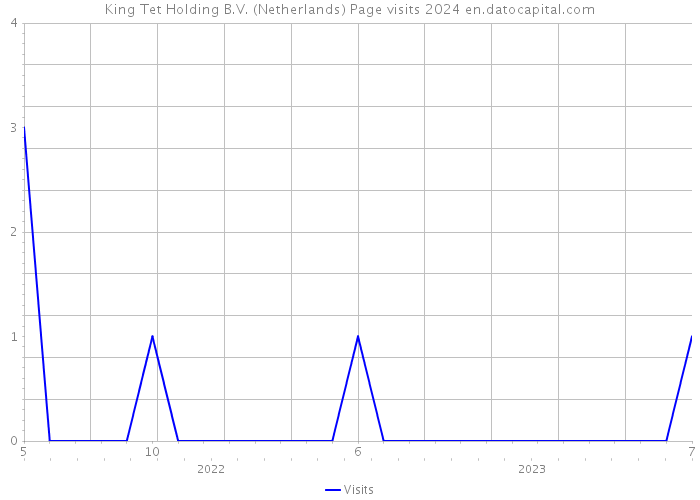King Tet Holding B.V. (Netherlands) Page visits 2024 