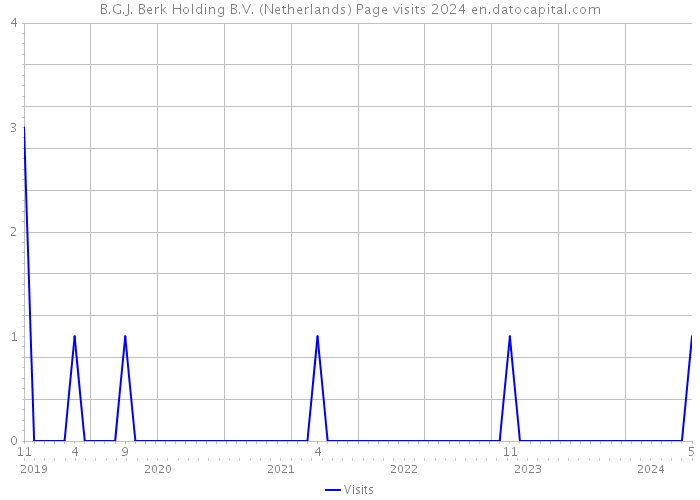 B.G.J. Berk Holding B.V. (Netherlands) Page visits 2024 