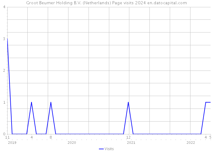 Groot Beumer Holding B.V. (Netherlands) Page visits 2024 