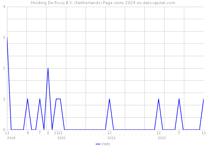 Holding De Rooij B.V. (Netherlands) Page visits 2024 