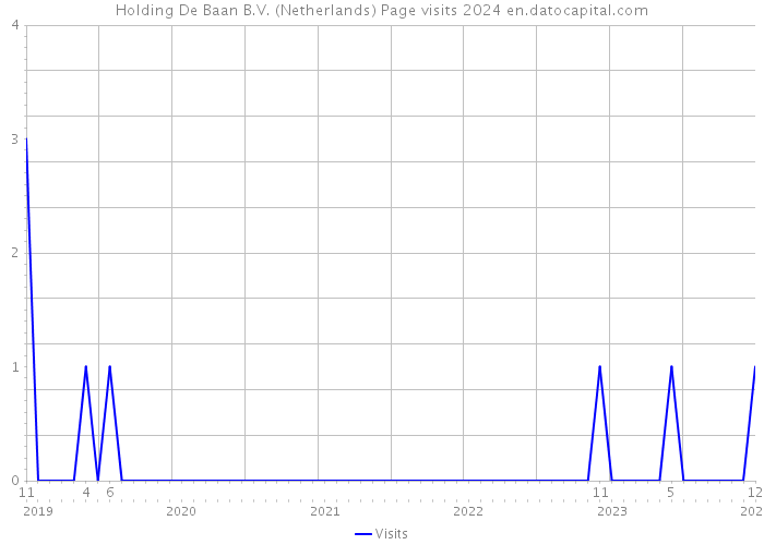 Holding De Baan B.V. (Netherlands) Page visits 2024 