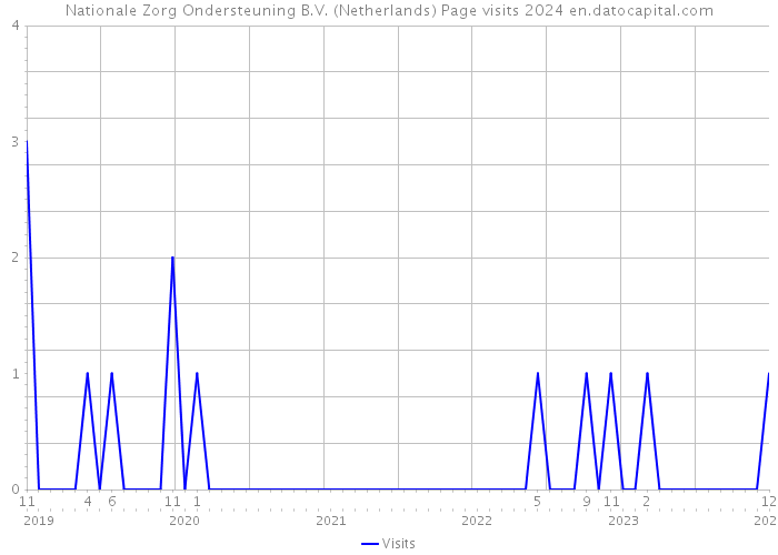 Nationale Zorg Ondersteuning B.V. (Netherlands) Page visits 2024 