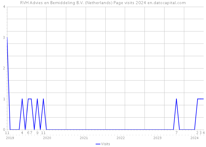 RVH Advies en Bemiddeling B.V. (Netherlands) Page visits 2024 