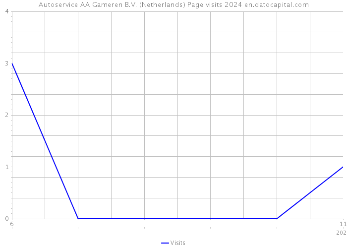 Autoservice AA Gameren B.V. (Netherlands) Page visits 2024 