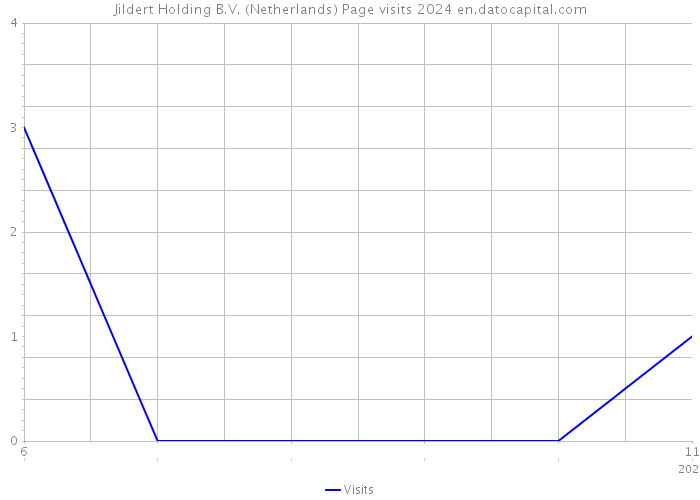 Jildert Holding B.V. (Netherlands) Page visits 2024 