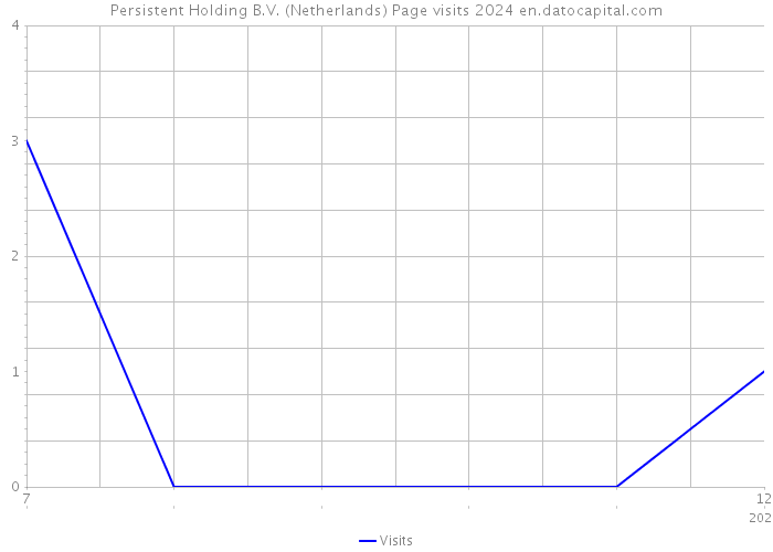 Persistent Holding B.V. (Netherlands) Page visits 2024 