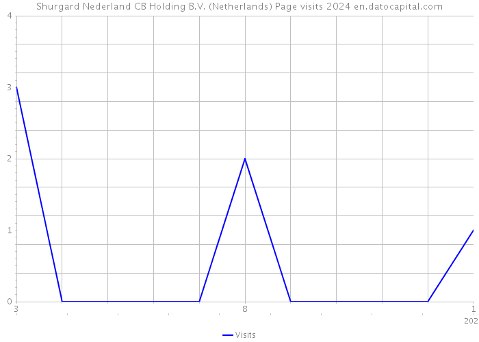 Shurgard Nederland CB Holding B.V. (Netherlands) Page visits 2024 