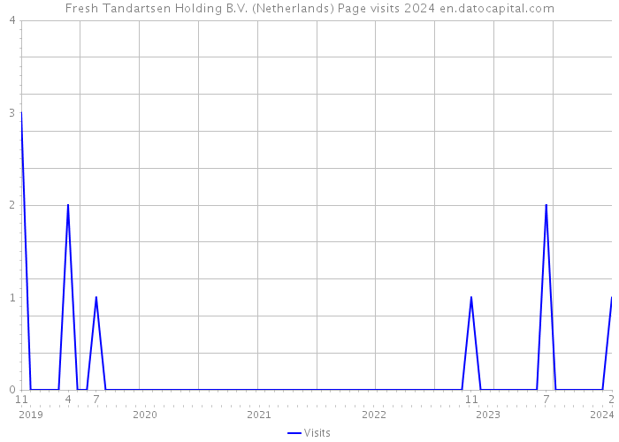 Fresh Tandartsen Holding B.V. (Netherlands) Page visits 2024 