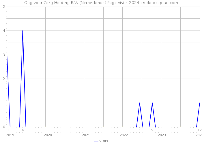Oog voor Zorg Holding B.V. (Netherlands) Page visits 2024 
