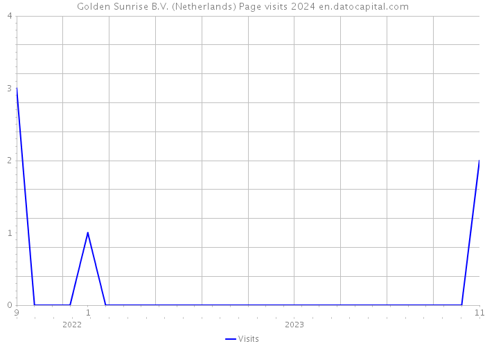 Golden Sunrise B.V. (Netherlands) Page visits 2024 