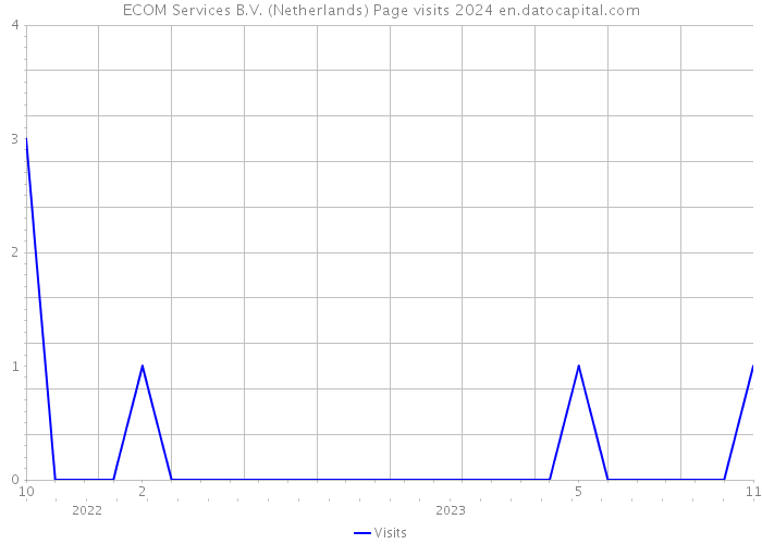 ECOM Services B.V. (Netherlands) Page visits 2024 