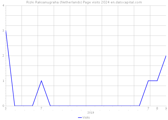 Rizki Raksanugraha (Netherlands) Page visits 2024 