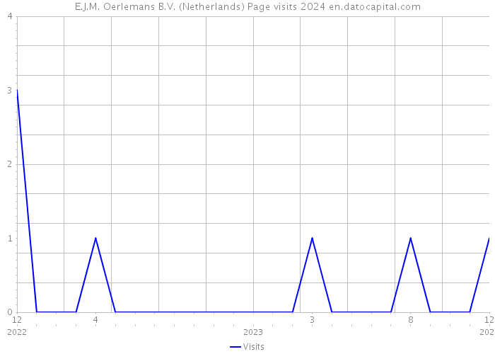 E.J.M. Oerlemans B.V. (Netherlands) Page visits 2024 