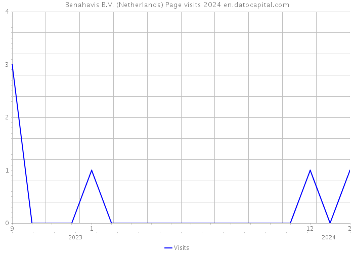 Benahavis B.V. (Netherlands) Page visits 2024 