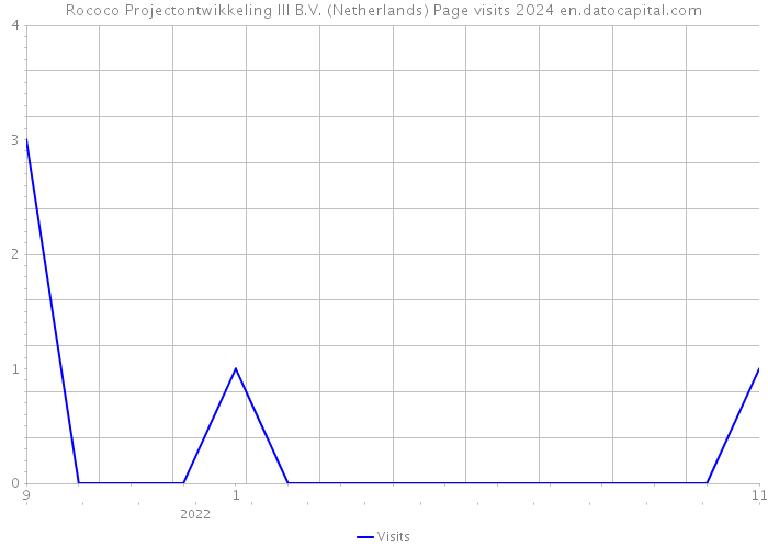 Rococo Projectontwikkeling III B.V. (Netherlands) Page visits 2024 
