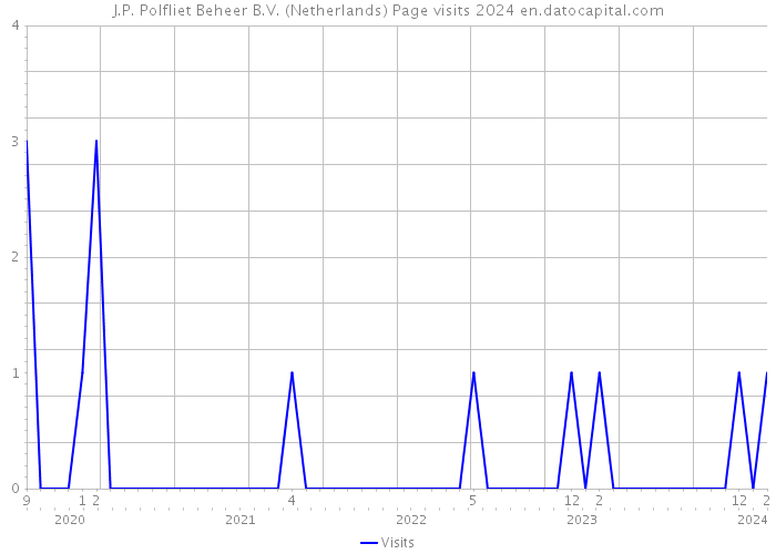 J.P. Polfliet Beheer B.V. (Netherlands) Page visits 2024 