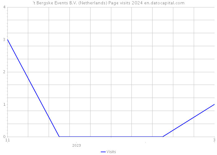 't Bergske Events B.V. (Netherlands) Page visits 2024 
