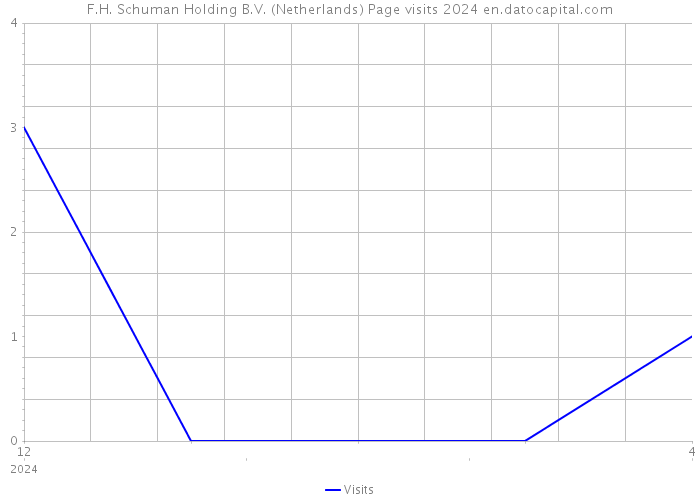 F.H. Schuman Holding B.V. (Netherlands) Page visits 2024 