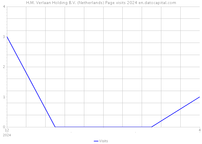 H.M. Verlaan Holding B.V. (Netherlands) Page visits 2024 