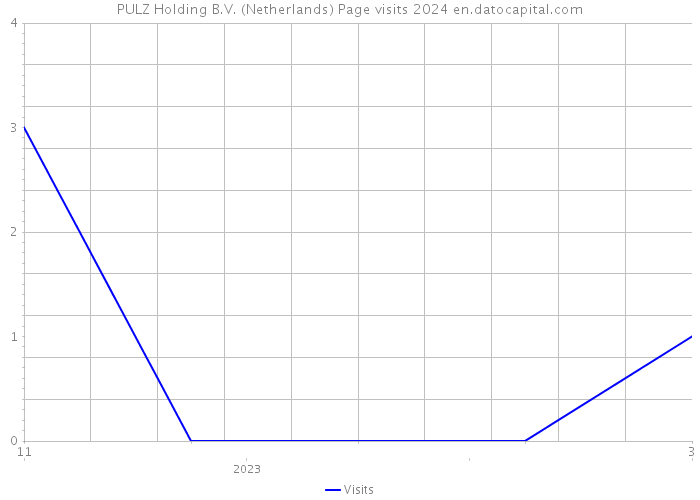 PULZ Holding B.V. (Netherlands) Page visits 2024 