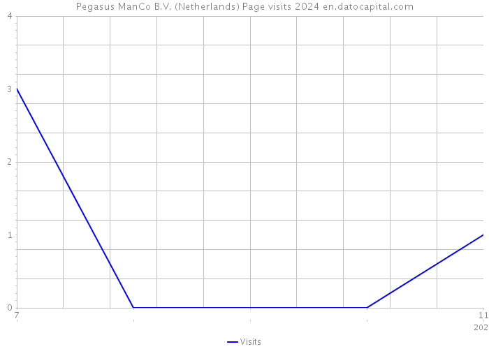 Pegasus ManCo B.V. (Netherlands) Page visits 2024 