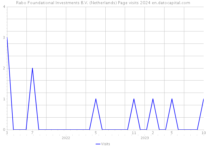 Rabo Foundational Investments B.V. (Netherlands) Page visits 2024 