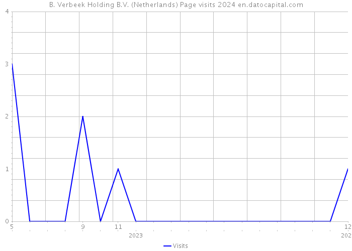 B. Verbeek Holding B.V. (Netherlands) Page visits 2024 