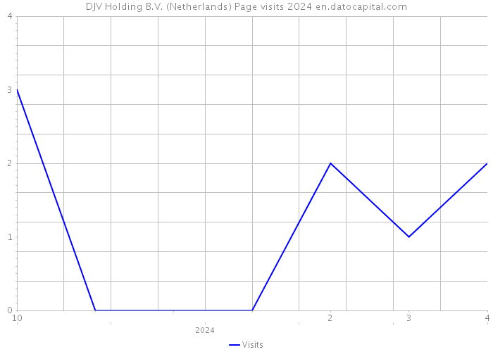 DJV Holding B.V. (Netherlands) Page visits 2024 