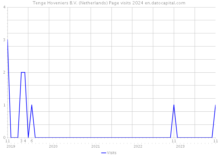 Tenge Hoveniers B.V. (Netherlands) Page visits 2024 