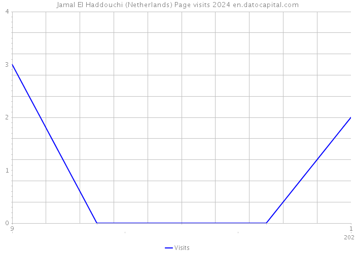 Jamal El Haddouchi (Netherlands) Page visits 2024 