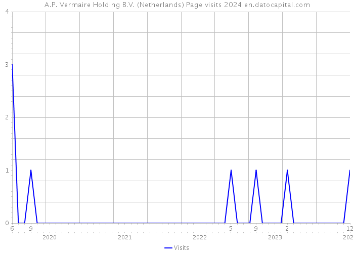 A.P. Vermaire Holding B.V. (Netherlands) Page visits 2024 