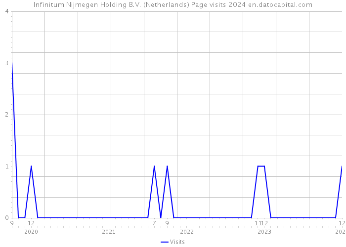 Infinitum Nijmegen Holding B.V. (Netherlands) Page visits 2024 