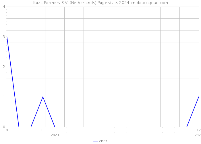 Kaza Partners B.V. (Netherlands) Page visits 2024 