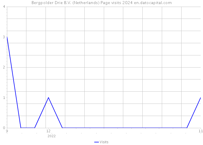 Bergpolder Drie B.V. (Netherlands) Page visits 2024 