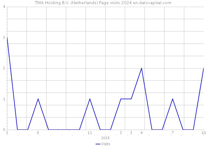 TMA Holding B.V. (Netherlands) Page visits 2024 