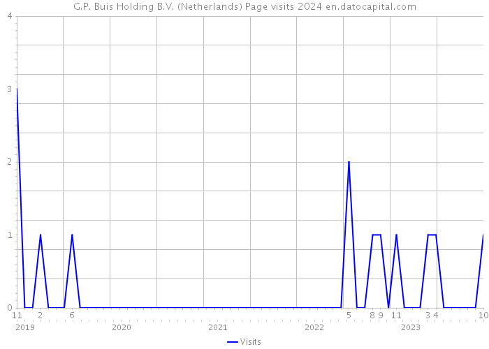 G.P. Buis Holding B.V. (Netherlands) Page visits 2024 