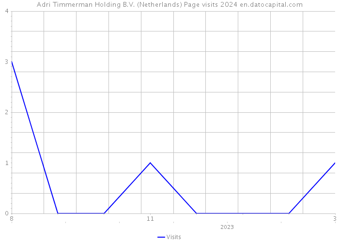 Adri Timmerman Holding B.V. (Netherlands) Page visits 2024 