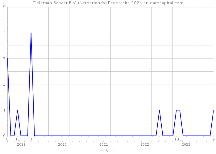 Tieleman Beheer B.V. (Netherlands) Page visits 2024 