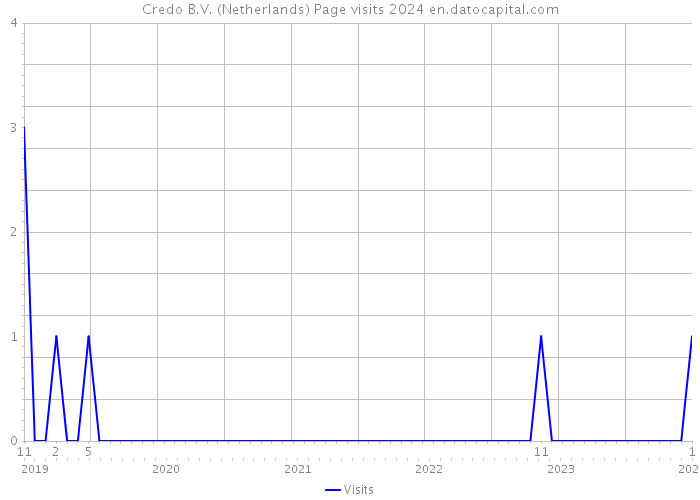 Credo B.V. (Netherlands) Page visits 2024 
