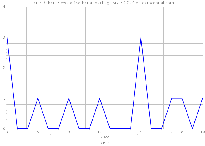 Peter Robert Biewald (Netherlands) Page visits 2024 