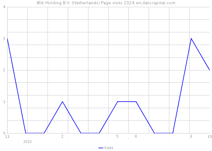 Blik Holding B.V. (Netherlands) Page visits 2024 